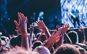 concert crowd